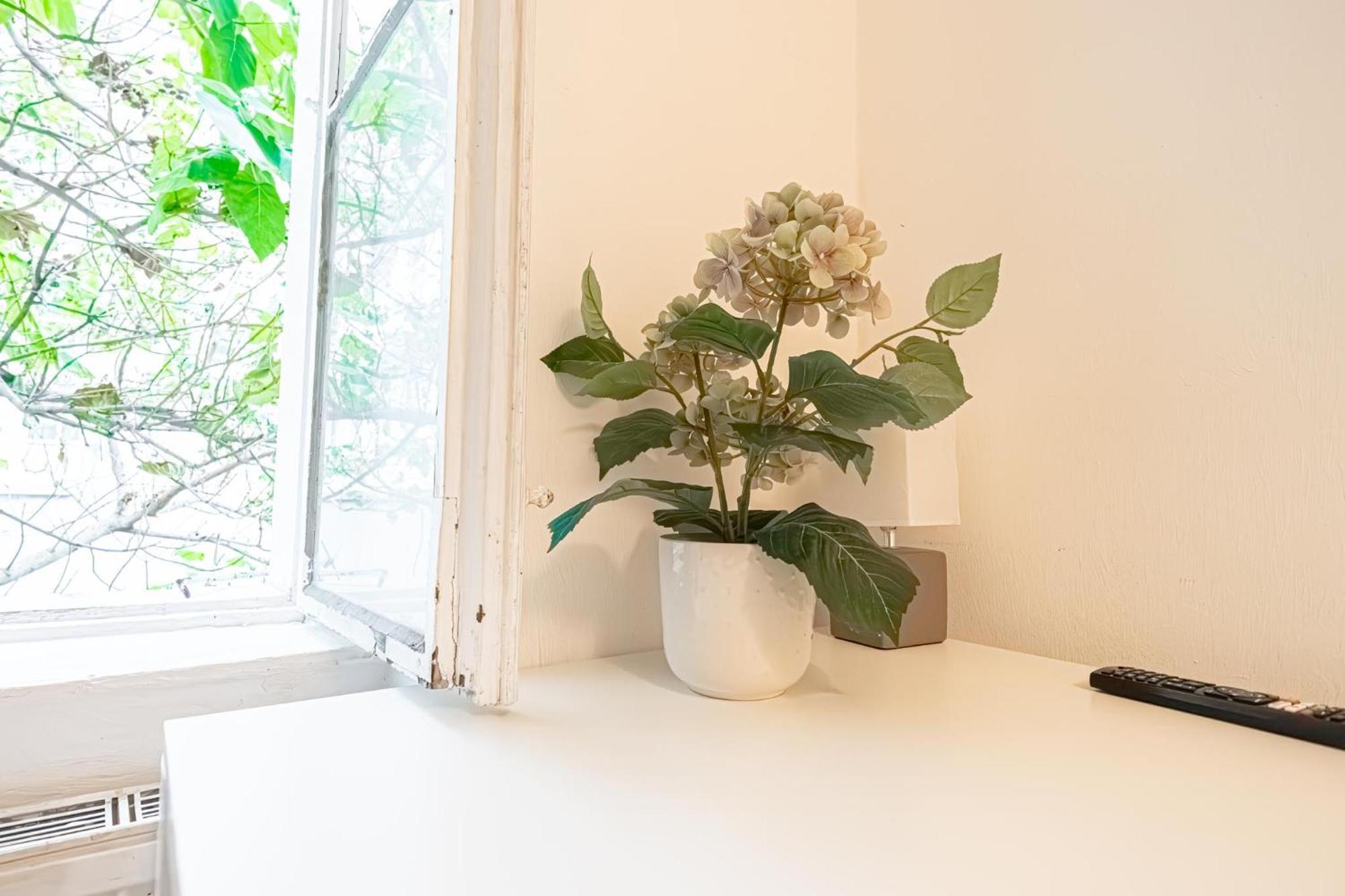 Central Belvedere 3Br Shared Apartment - 12 Min From City Center Wenen Buitenkant foto